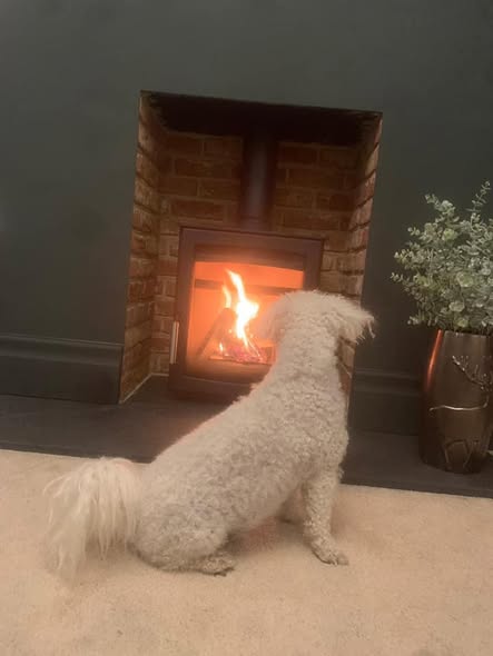 Parkray Aspect 5 Fireplace with Inset TV view 3
