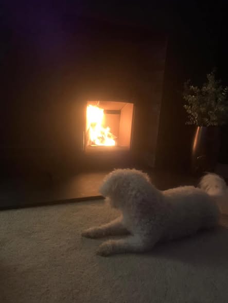 Parkray Aspect 5 Fireplace with Inset TV view 4